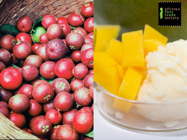 Kokum Butter vs Mango Butter