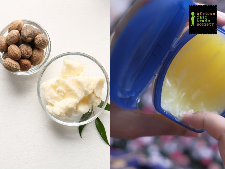 Shea Butter vs. Vaseline: Uncovering the Differences